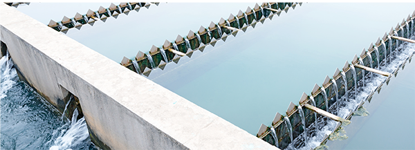 ĐỘ pH VÀ DO TRONG BỂ SỤC NƯỚC THẢI